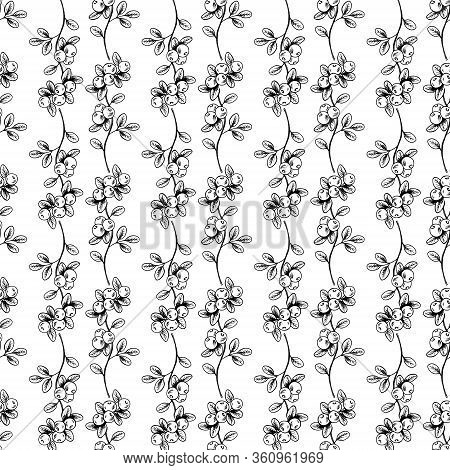 Blueberry Twigs With Leaves Seamless Pattern. Wild Berries, Hand Drawn  Line Art Sketch, For Wrapper