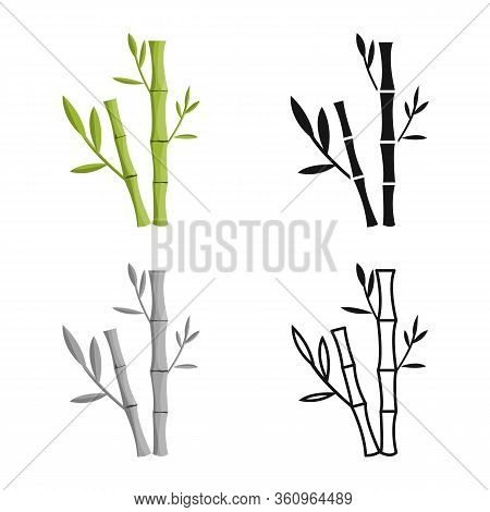 Vector Design Of Bamboo And Tree Symbol. Set Of Bamboo And Green Stock Vector Illustration.