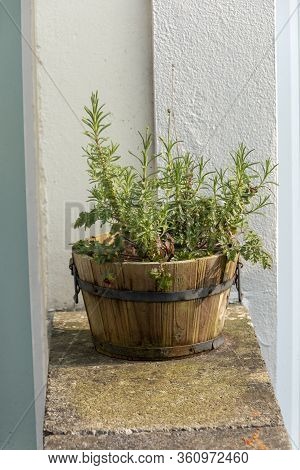 A Close Up View Of A Wooden Bucket With Herbs Inside On The Small Outside Wall Between Houses