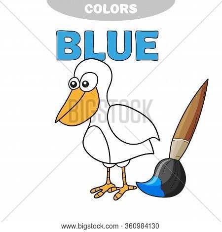 Coloring Book - Finny Bird. Learn Colors - Blue