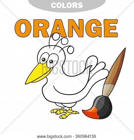 Coloring Book - Finny Bird. Learn Colors - Orange