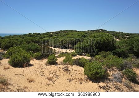 Matalascanas, Spain - July 10, 2011: Doana National Park In Andalusia