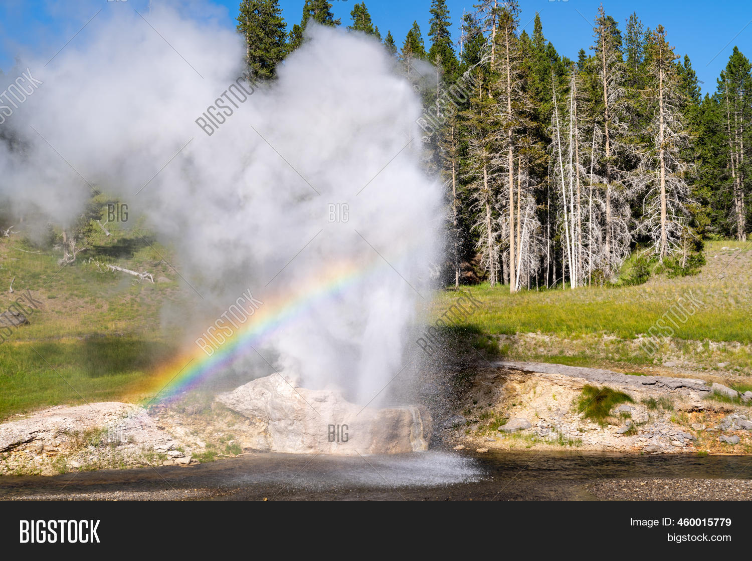 Riverside Geyser Image & Photo (Free Trial) Bigstock
