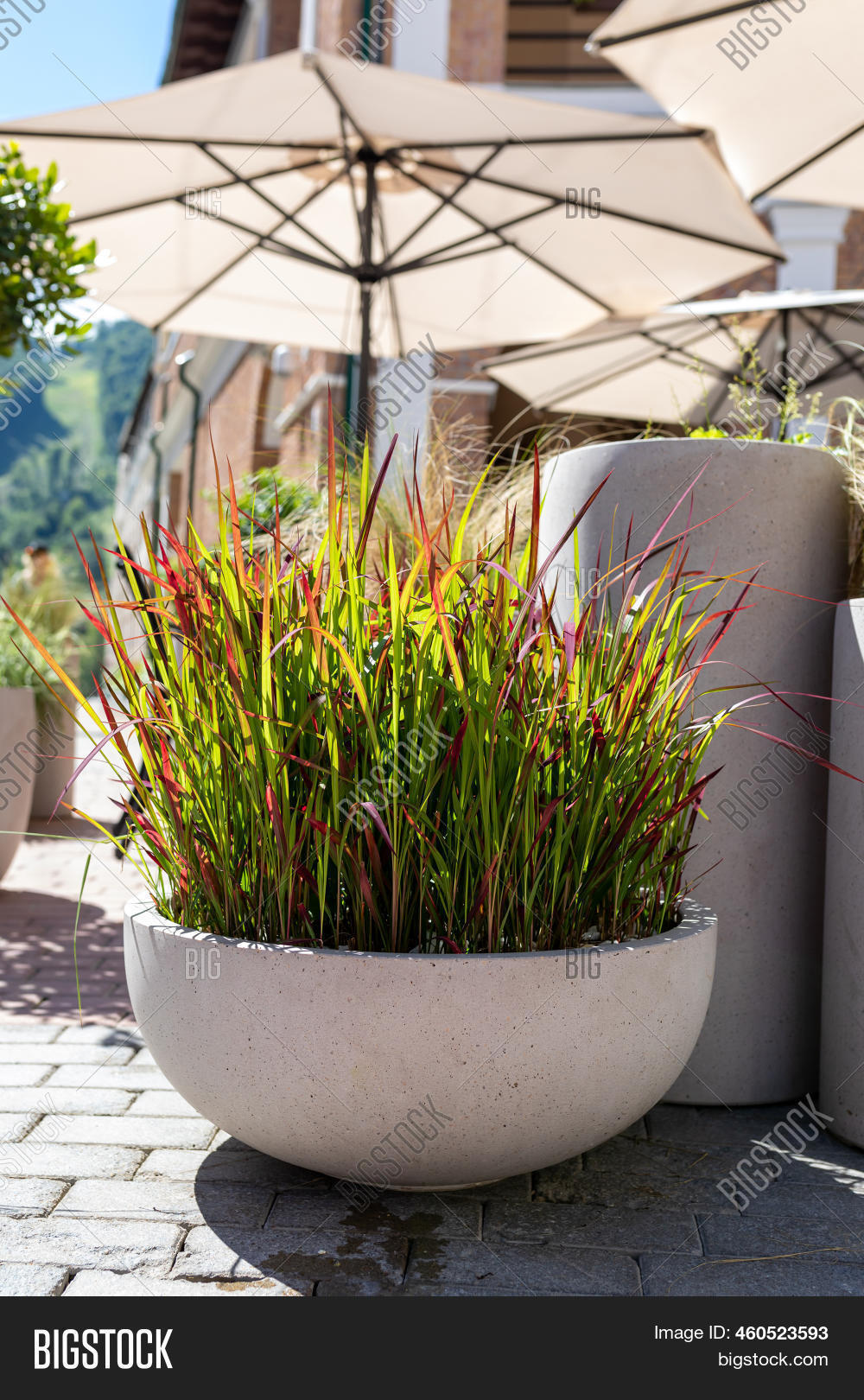 Gray Cementconcrete Image & Photo (Free Trial) Bigstock