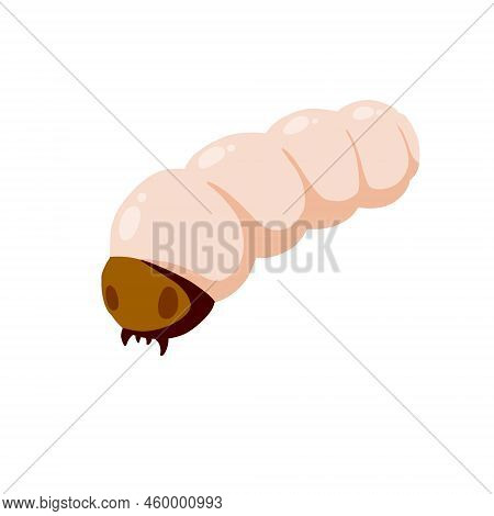 Edible Caterpillar. White Insect Larva. Source Of Animal Protein. Flat Cartoon Illustration Isolated