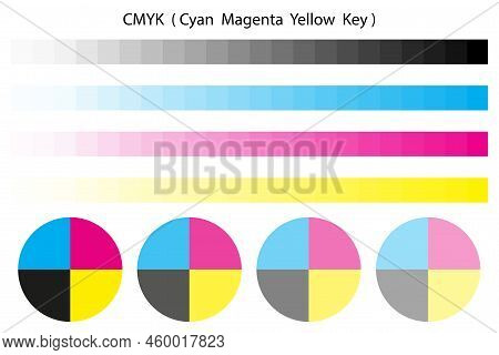 Cmyk Color Palette And Wheel. Vector Illustration. Stock Image.