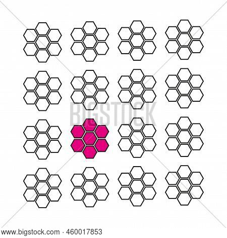 Carnation Flower Vector. Summer Motif. Vector Illustration. Stock Image.