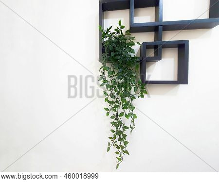 Leaves Hanging On The Wall Create A Photo With Copy Space Or Negative Space To Use As Your Template.