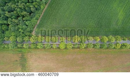Aerial View Drone Shot Of Fresh Green Field In Spring Near Turnhout By Antwerp, Belgium With Road Be