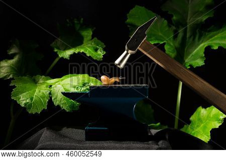 Snail On The Anvil Under The Hammer The Concept Of Naivety And Resistance