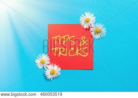 Conceptual Caption Tips And Tricks. Business Idea Steps Lifehacks Handy Advice Recommendations Skill