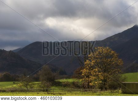 Beautiful Landscape Image Of Autumn In Lake District Looking Across To Mountains In Distance With Su