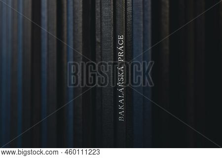 Set Of Bachelor Theses Side By Side, Blue Colors