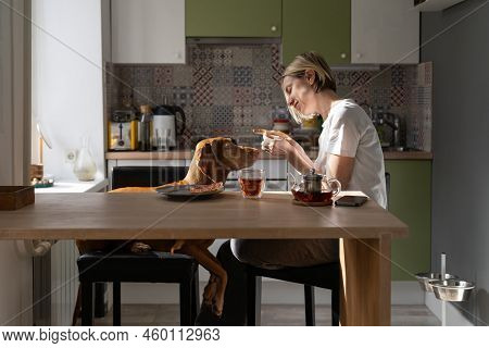 Happy Middle-aged Woman Tries To Feed Favourite Dog With Sandwich With Jam Smiling. Lonely Blonde Fe