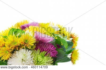 Chrisantemum Fresh Autumn Flowers Bouquet Close Up Isolated On White Background