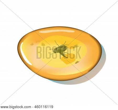 Amber Stone With Insects Isolated On White Background. Petrous Resin For Design. Gemstone Or Mineral