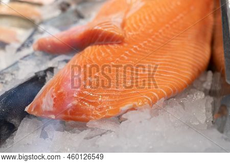 Organic Wild Scottish Fish Salmon Cleaned On Ice On Market