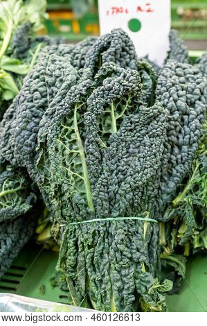 Bunch Of Dark Green Fresh Cavolo Nero Black Cabbage Leaves On Market