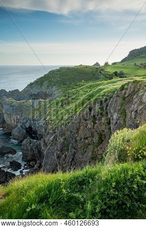 Cliffs And Green Pastures,atlantic Ocean Bay Near Bakio, Small Touristic Village, Basque Country, Sp