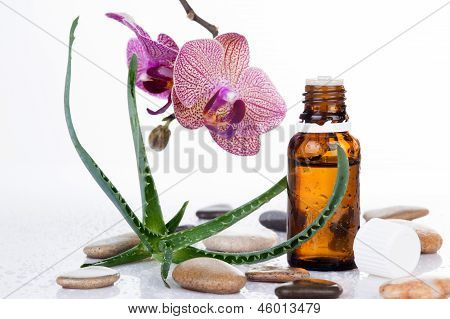 Ot yaprağı ve orkide bir aromaterapi Uçucu yağ ile