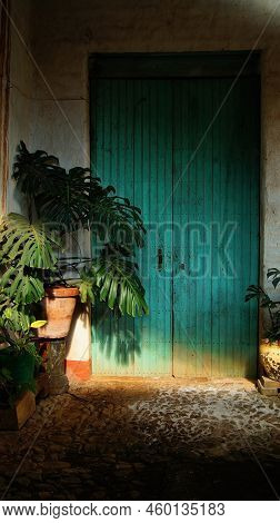 Old Typical Vintage Wooden Door, Monstera Deliciosa, Ceriman, Shadows And Lights