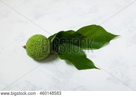 Maclura Pomifera Fruit With Leaves On Light Background. Side View, Selective Focus, Copy Space. Macl