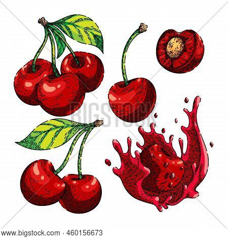 Cherry Red Fruit Set Hand Drawn Vector. Sour Berry, Leaf Branch, Sweet Fresh Tree Food, Garden Natur