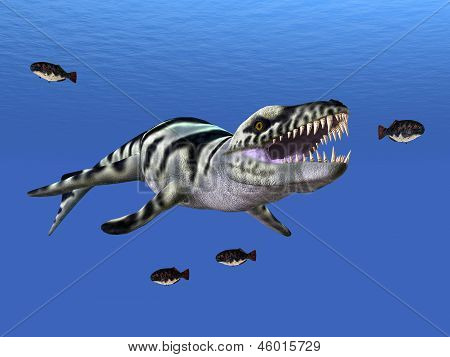 Dakosaurus