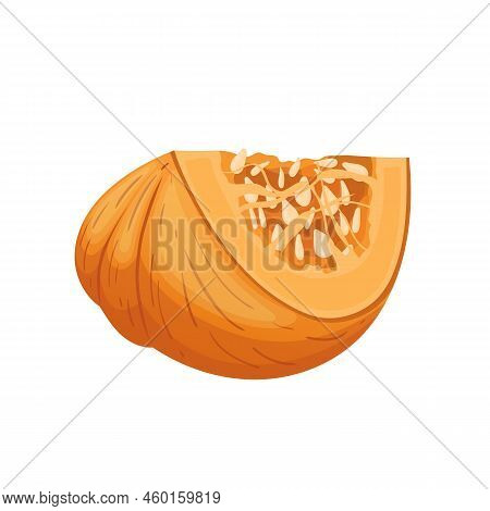Pumpkin Slice Cartoon. Cut White Food Piece, Fresh Autumn, Top Squash Raw Orange Pumpkin Slice Vecto