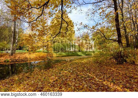 Autumn Foliage In Catherine Park, Pushkin (tsarskoe Selo), Saint Petersburg, Russia