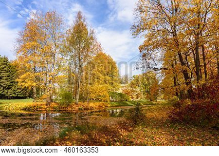 Autumn Foliage In Catherine Park, Pushkin, Saint Petersburg, Russia