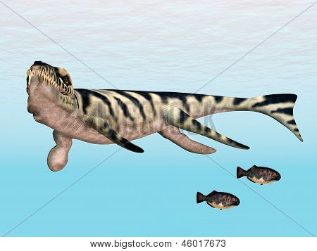Dakosaurus