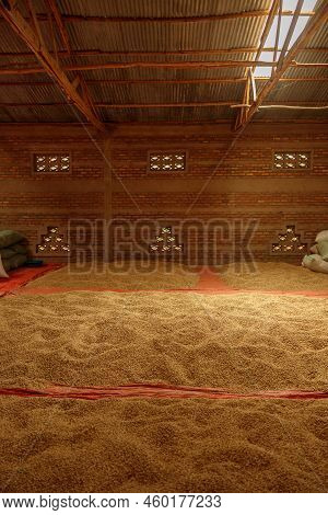 Coffee Beans Warehouse At Farm In Region Of Rwanda