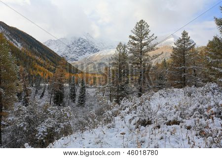 Altai (vuoristo)