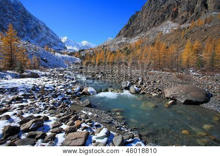 Altai (vuoristo)