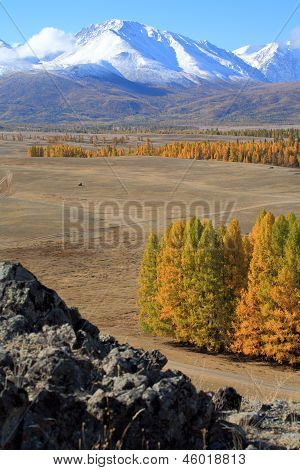 Altai (vuoristo)