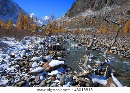 Altai (vuoristo)
