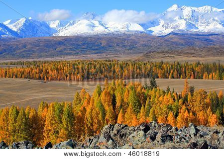 Altai (vuoristo)