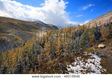 Altai (vuoristo)