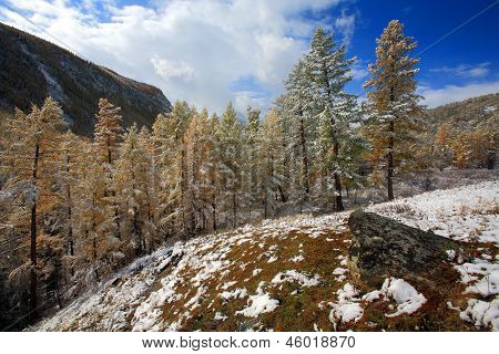 Altai-Gebirge, See Telezkoje, Süd-Sibirien, Russland
