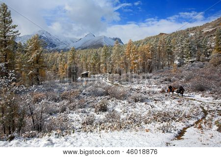 Altai (vuoristo)