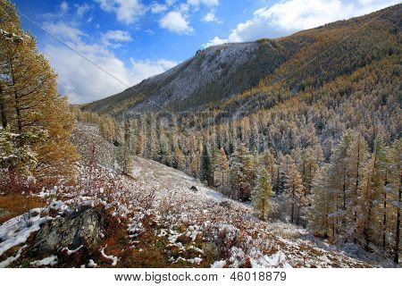 Altai (vuoristo)