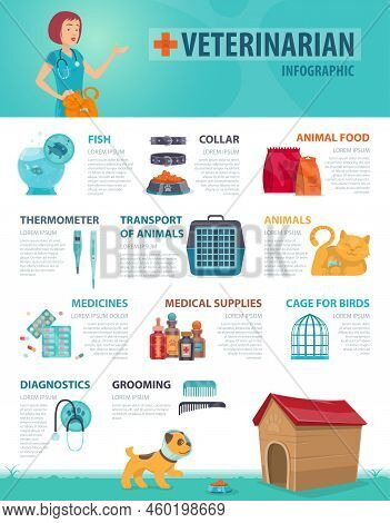 Colorful Vet Infographic Concept With Animal Products Equipment And Medical Supplies For Pets Vector