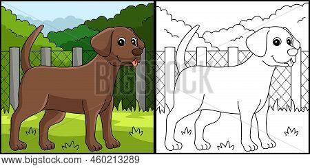This Coloring Page Shows A Chocolate Lab Dog. One Side Of This Illustration Is Colored And Serves As
