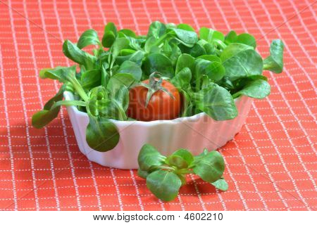 Insalata di mais
