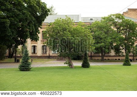 Landscaped Park With Different Trees, Evergreen And Seasonal Plants In Backyard. Sunlit Landscape In