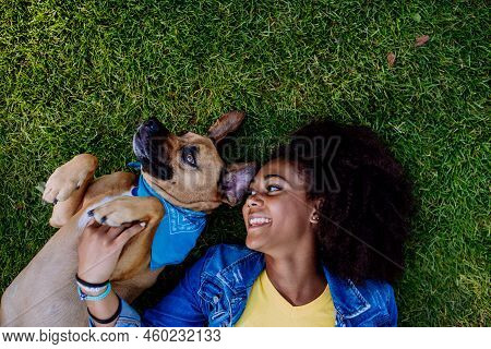 Top View Of Multiracial Teenage Girl And Her Dog Lying On The Grass In City Park, Concept Of Relatio