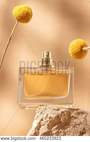 Perfume Bottle With Craspedia Flowers. Concept Of Expensive Perfume And Cosmetics. Floral Fragrance 