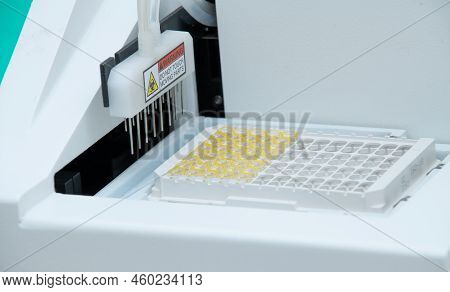 Hospital Laboratories, Automatic Biochemical Analyzer, Laboratory Concept, Macro