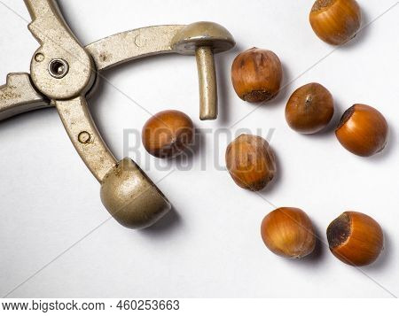 Old Nut Cracker. Hazelnuts On A White Background. Nuts In A Shell. Snack. Healthy Diet. Ingredients 